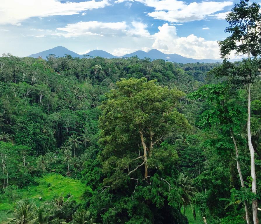Ayuterra Resort Ubud Kültér fotó