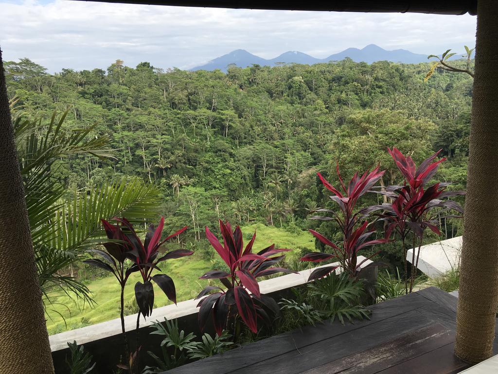 Ayuterra Resort Ubud Kültér fotó